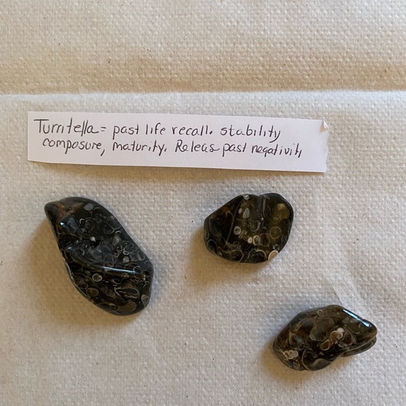Turritella mineral polished stones, crystals. - Picture 4 of 4